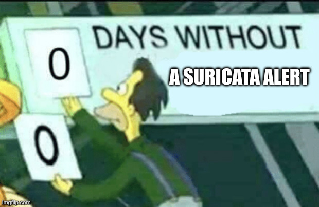 Lenny from The Simpsons holding up the "0 days without" workplace safety sign, captioned "days without a Suricata alert"